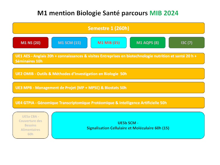 M1 MIB Semestre 1